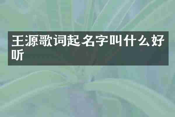 王源歌词起名字叫什么好听
