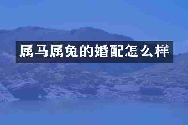 属马属兔的婚配怎么样