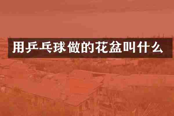 用乒乓球做的花盆叫什么