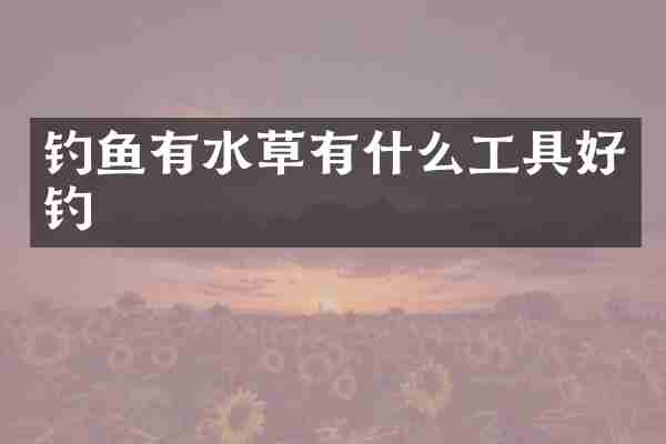 钓鱼有水草有什么工具好钓
