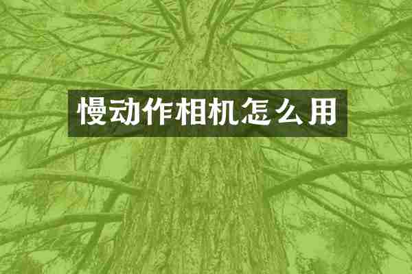 慢动作相机怎么用