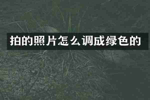 拍的照片怎么调成绿色的