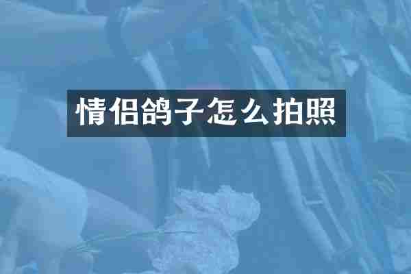情侣鸽子怎么拍照