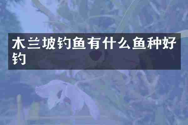木兰坡钓鱼有什么鱼种好钓