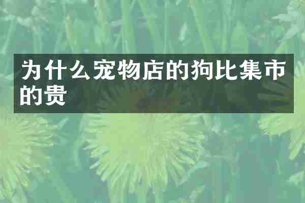 为什么宠物店的狗比集市的贵