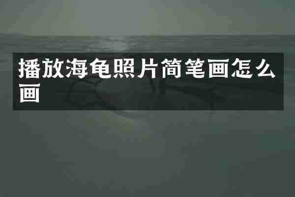播放海龟照片简笔画怎么画