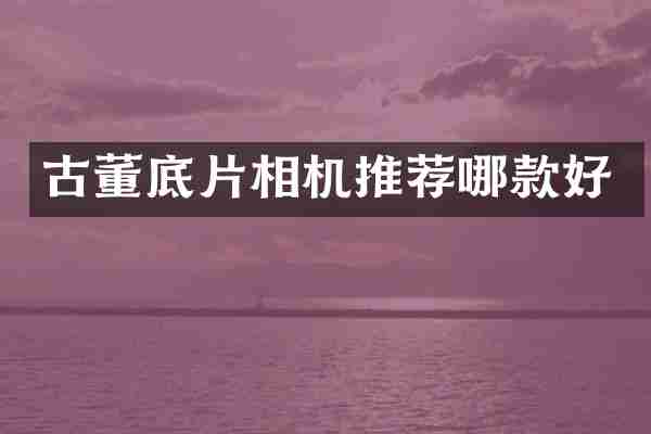 古董底片相机推荐哪款好