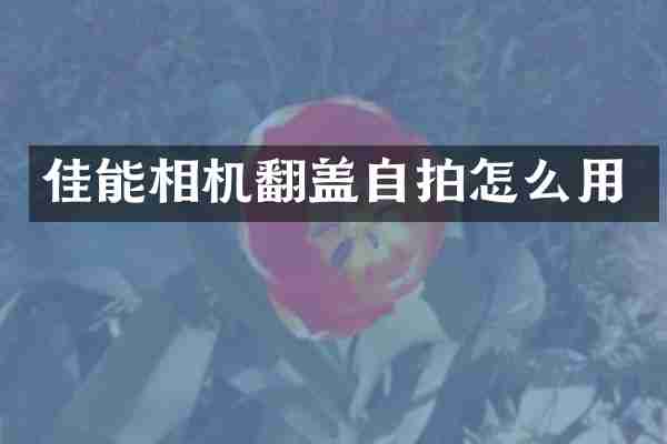 佳能相机翻盖自拍怎么用