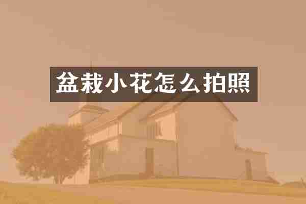 盆栽小花怎么拍照