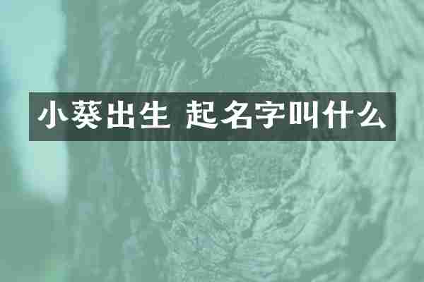小葵出生 起名字叫什么