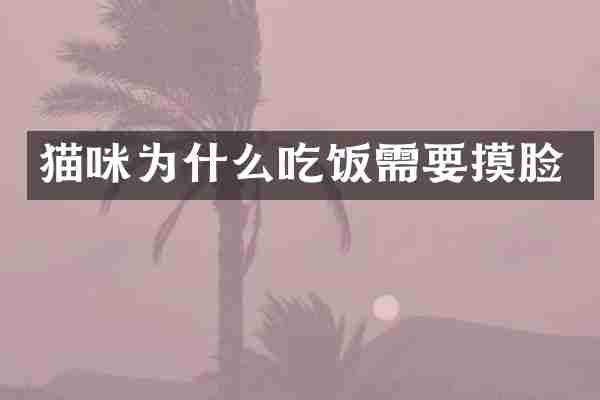猫咪为什么吃饭需要摸脸