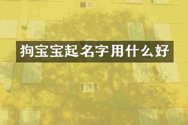 狗宝宝起名字用什么好
