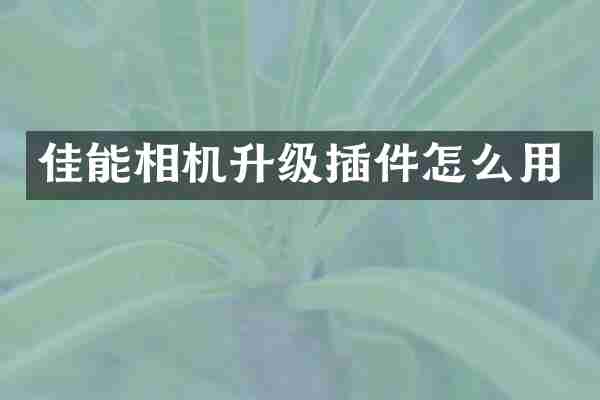 佳能相机升级插件怎么用