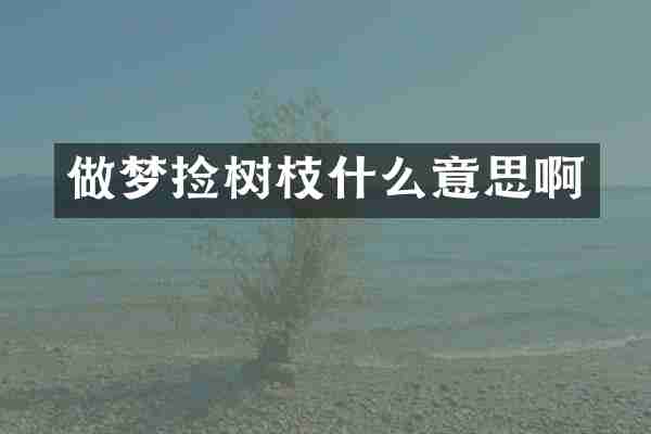做梦捡树枝什么意思啊