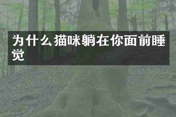 为什么猫咪躺在你面前睡觉