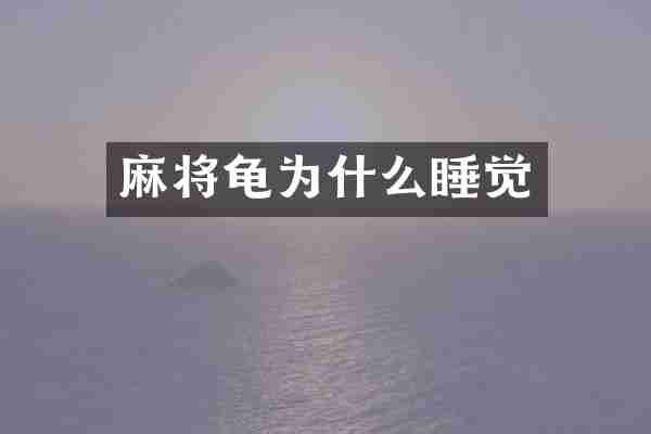 麻将龟为什么睡觉