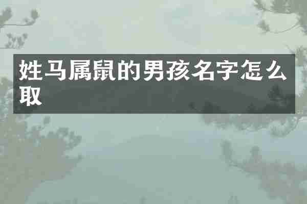 姓马属鼠的男孩名字怎么取
