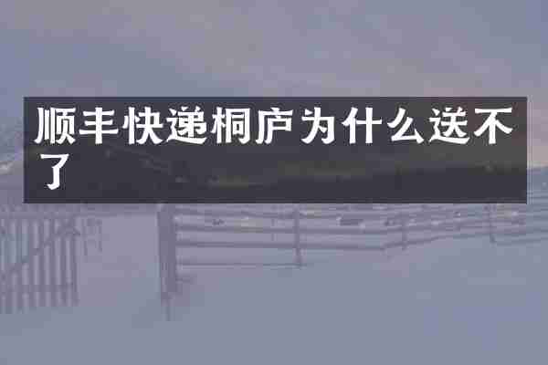 顺丰快递桐庐为什么送不了