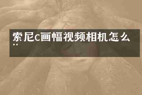 索尼c画幅视频相机怎么用