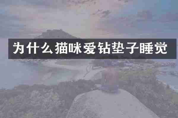 为什么猫咪爱钻垫子睡觉