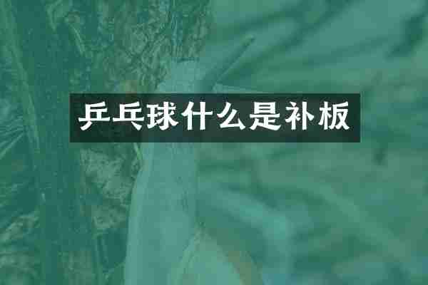 乒乓球什么是补板