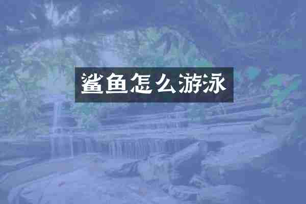 鲨鱼怎么游泳