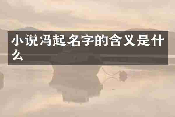 小说冯起名字的含义是什么