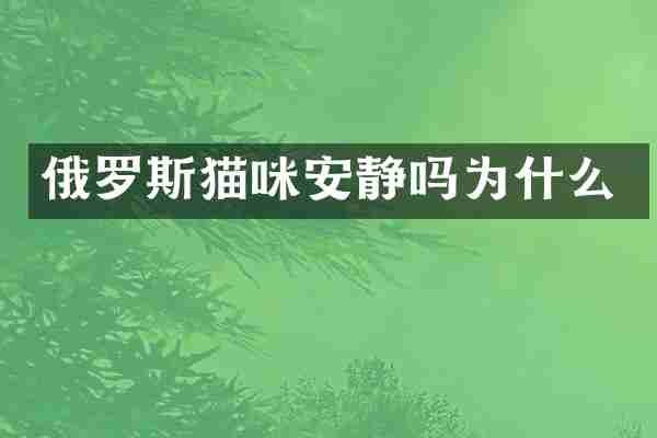 俄罗斯猫咪安静吗为什么