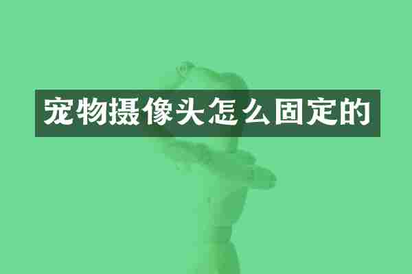 宠物摄像头怎么固定的