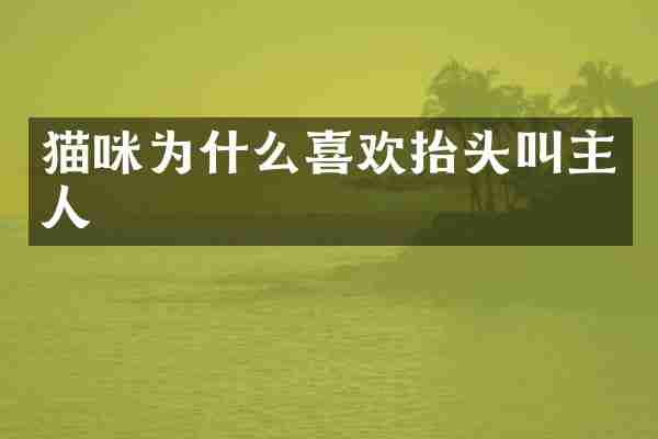 猫咪为什么喜欢抬头叫主人