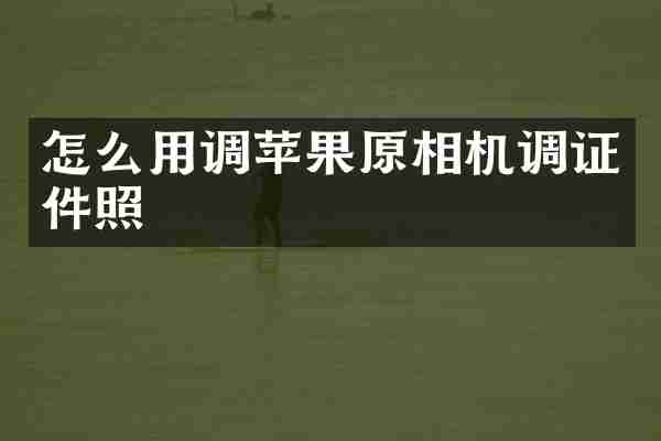 怎么用调苹果原相机调证件照