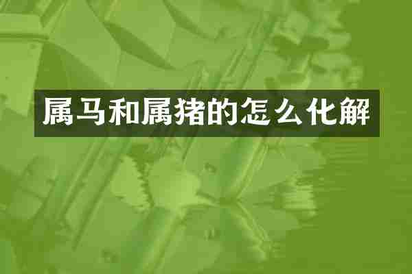 属马和属猪的怎么化解