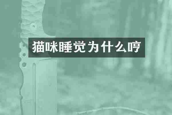 猫咪睡觉为什么哼