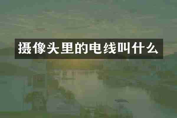 摄像头里的电线叫什么
