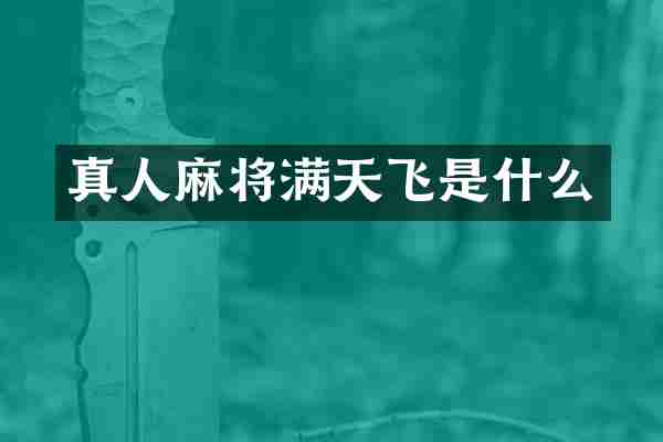真人麻将满天飞是什么