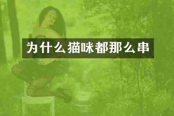 为什么猫咪都那么串