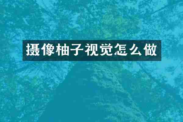 摄像柚子视觉怎么做