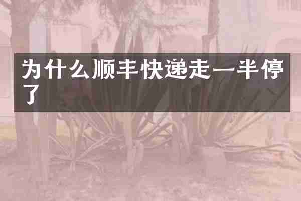 为什么顺丰快递走一半停了