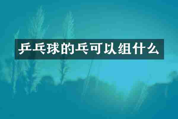 乒乓球的乓可以组什么