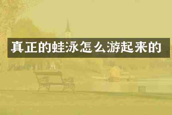 真正的蛙泳怎么游起来的