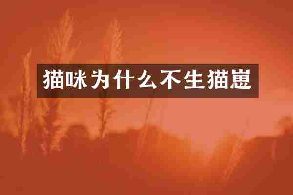 猫咪为什么不生猫崽