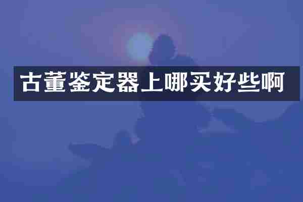 古董鉴定器上哪买好些啊