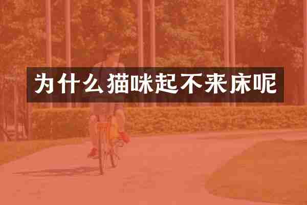 为什么猫咪起不来床呢