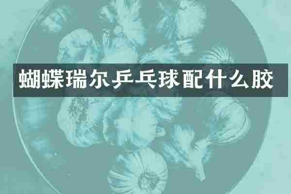 蝴蝶瑞尔乒乓球配什么胶