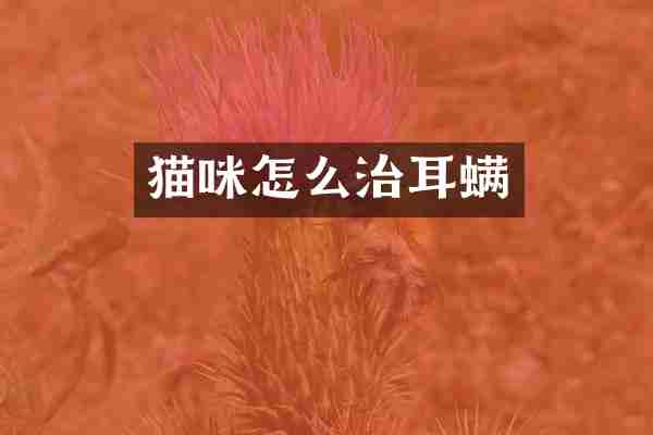 猫咪怎么治耳螨