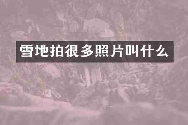 雪地拍很多照片叫什么