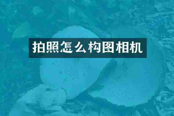 拍照怎么构图相机