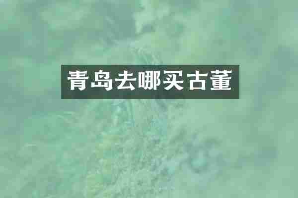 青岛去哪买古董