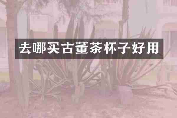 去哪买古董茶杯子好用