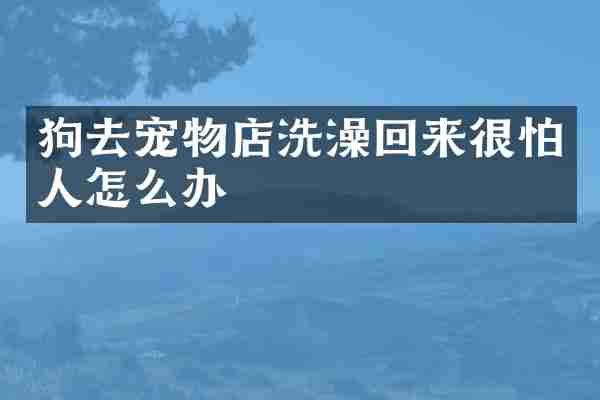 狗去宠物店洗澡回来很怕人怎么办